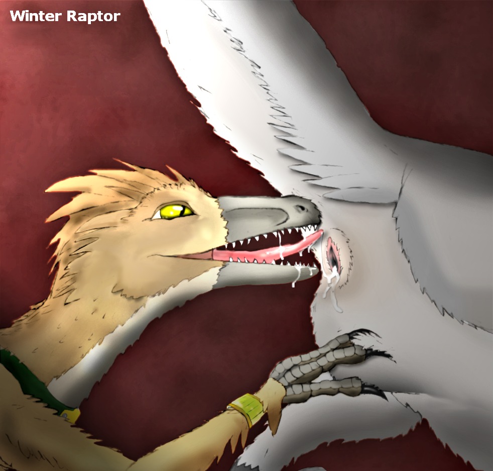 ambiguous/ambiguous ambiguous_gender animal_genitalia bodily_fluids cloaca cloacal cloacalingus conditional_dnp cum cum_in_cloaca cum_in_mouth cum_inside cunnilingus deinonychus dinosaur dromaeosaurid duo e621 feathered_dinosaur feathered_scalie feathers felching feral feral_on_feral genital_fluids genitals oral prehistoric_species pubic_boot reptile saurischian scalie sex side_view simple_background sophie_(raptor) tail terraraptor theropod tongue vaginal velociraptor