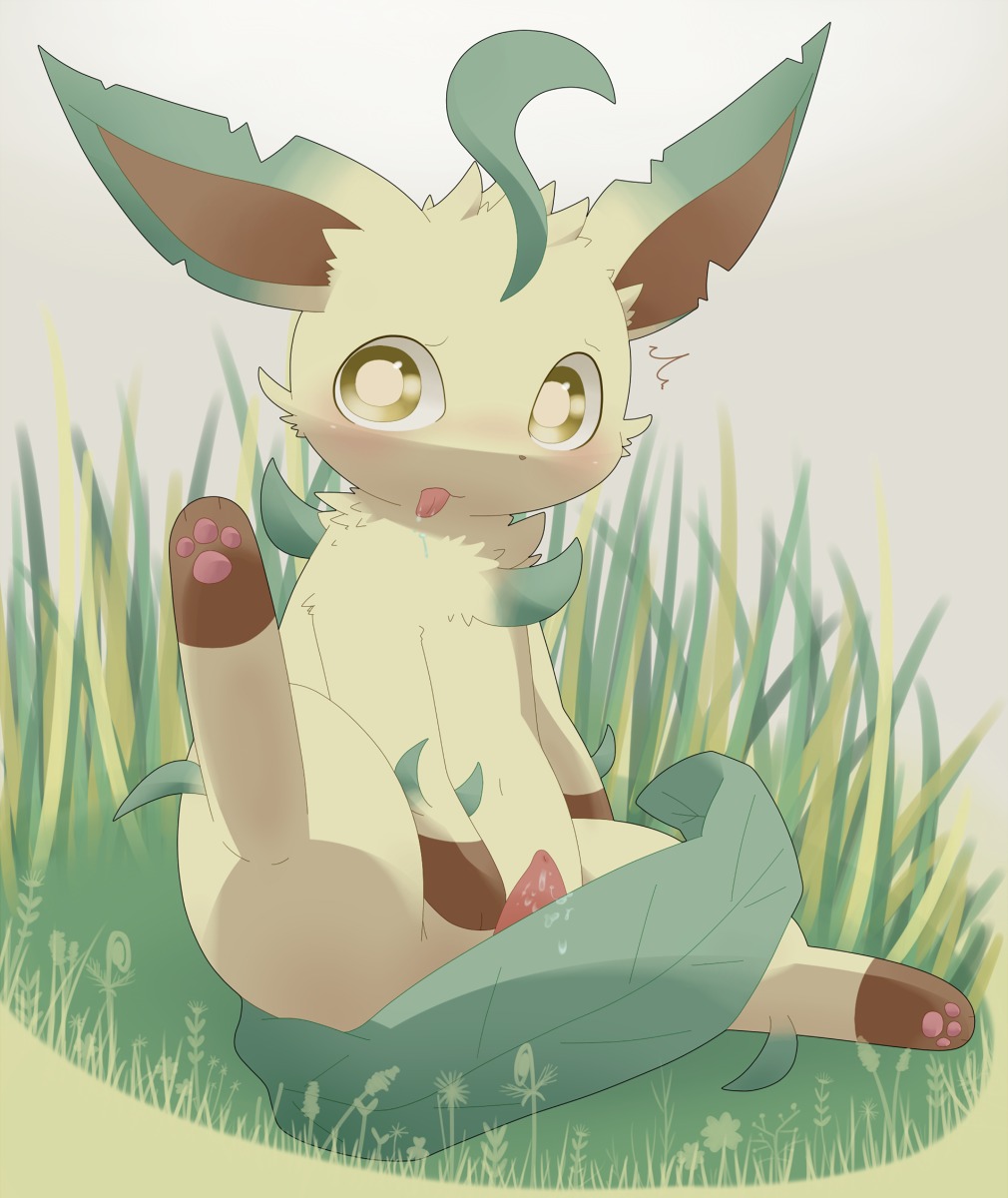 blush bodily_fluids e621 eeveelution erection feral fur generation_4_pokemon genitals hi_res kururi_itachi leafeon male nintendo pawpads paws penis pokemon pokemon_(species) raised_leg saliva shocked solo surprised tongue tongue_out tuft yellow_eyes