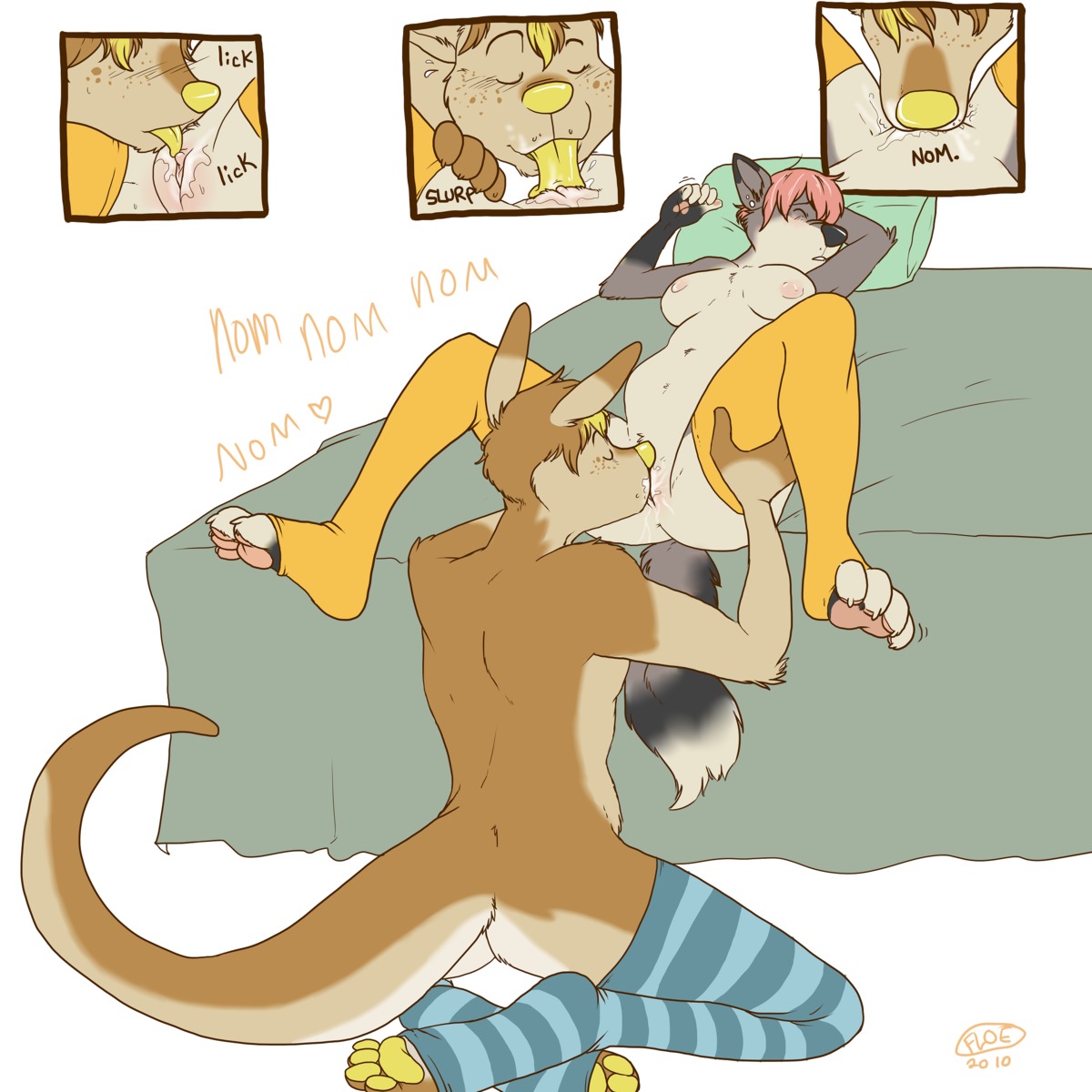 1:1 absurd_res anthro anthro_on_anthro bed canid canine clothing cunnilingus duo e621 female floe_(character) floebean footwear fur furniture genitals hi_res kangaroo legwear licking macropod male male/female mammal marsupial oral sex socks stockings tail toeless_footwear toeless_socks tongue tongue_out vaginal vulva yellow_body yellow_fur