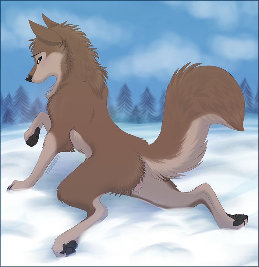 aleu_(balto) anatomically_correct anatomically_correct_genitalia anatomically_correct_vulva animal_genitalia animal_vulva balto_(series) blue_border bodily_fluids border canid canine canine_genitalia canine_vulva canis cum domestic_dog e621 female feral fur genital_fluids genitals hybrid lying mammal mouthless outside quadruped raised_tail snow solo sploot tail thrusti universal_studios vaginal_fluids vulva wolf wolfdog