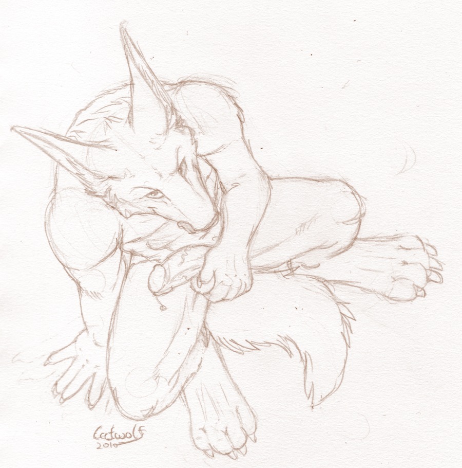 anthro canid canine canis catwolf crouching e621 endenden erection genitals jackal male mammal monochrome penis simple_background sketch solo tail tongue white_background