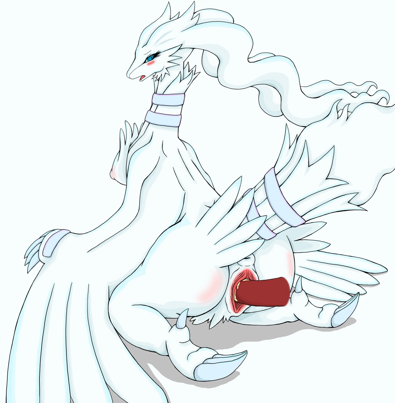 anus blue_eyes blush bodily_fluids claws cum cum_in_vagina cum_inside disembodied_penis duo e621 erection fang_asian female female_focus female_on_human female_penetrated feral generation_5_pokemon genital_fluids genitals hi_res human kneeling legendary_pokemon looking_back male male/female male_penetrating male_penetrating_female mammal nintendo penetration penile penile_penetration penis penis_in_vagina pokemon pokemon_(species) reshiram sex simple_background solo_focus vaginal vaginal_penetration vulva white_background