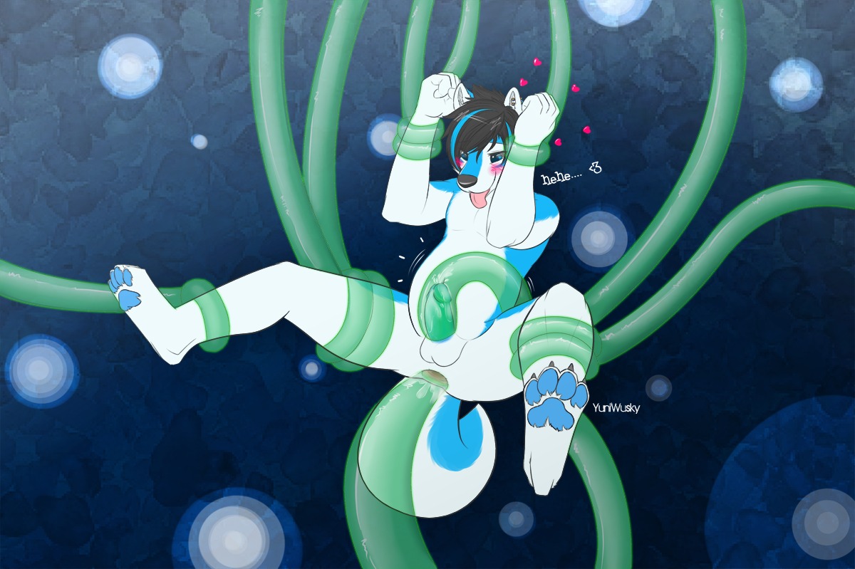 abstract_background anal anal_penetration anthro anus arms_above_head balls biped black_hair blue_body blue_eyes blue_fur blue_pawpads blush bodily_fluids canid canine canis consentacles cum cum_in_tentacles cum_inflation cum_inside cumshot domestic_dog e621 ear_piercing ejaculation english_text erection fur genital_fluids genitals glans hair heart_symbol highlights_(coloring) husky hybrid inflation male mammal nordic_sled_dog open_mouth open_smile orgasm pawpads paws penetration penis penis_in_tentacle piercing restrained sex smile solo spitz spread_legs spreading suspension tail tentacle_fellatio tentacle_sex tentacles text tongue tongue_out translucent translucent_tentacles wolf wolfdog yuni_(yuniwolfsky) yuniwolfsky