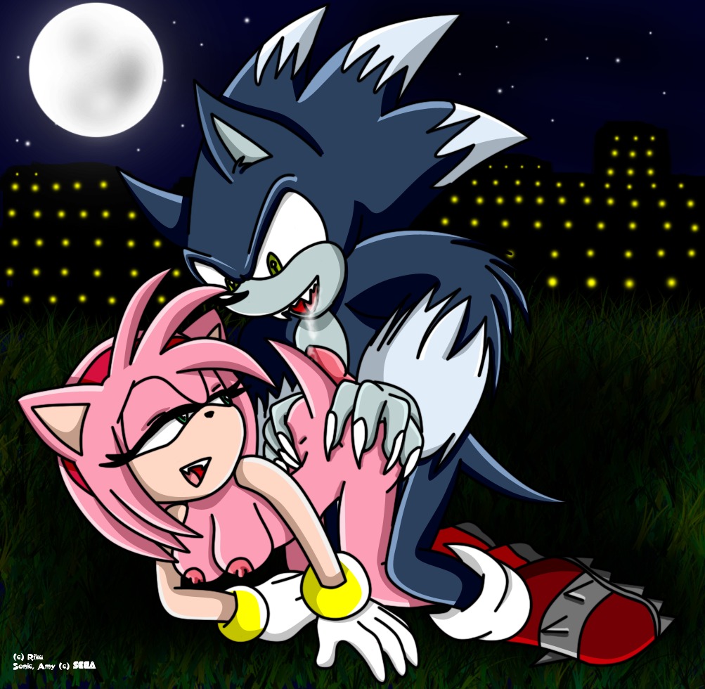accessory amy_rose anthro anthro_on_anthro big_eyes blue_body blue_fur bodily_fluids breasts clothing cum cumshot detailed_background duo e621 ejaculation erection eulipotyphlan female footwear from_behind_position fur genital_fluids genitals gloves grass green_eyes hair_accessory hairband handwear hedgehog male male/female mammal mostly_nude night nipples orgasm outside penis pink_body plant riku_(artist) sega sex shoes sky sonic_the_hedgehog sonic_the_hedgehog_(series) sonic_the_werehog sonic_unleashed star starry_sky thin_calves thin_legs thin_thighs toony werecreature wereeulipotyphlan werehog white_clothing white_gloves white_handwear