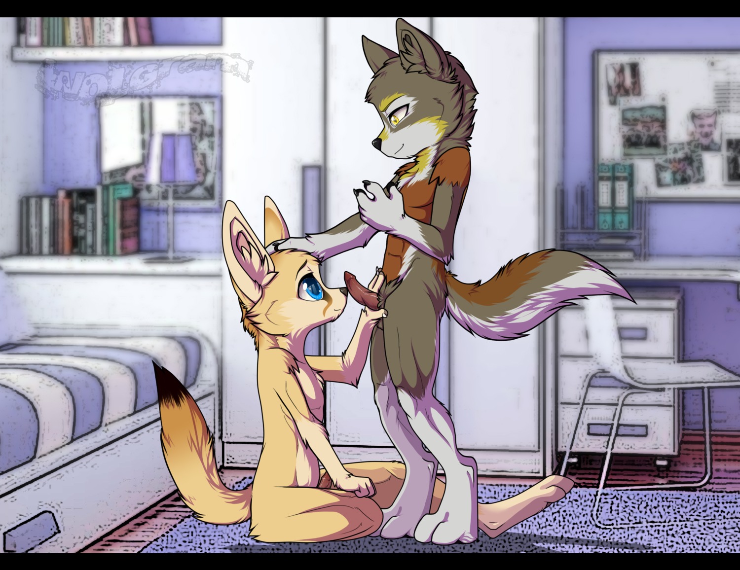 anthro bed black_bars blue_eyes canid canine canis duo e621 erection fennec_fox fox furniture genitals graneth hi_res hybrid knot letterbox male male/male mammal penis taag true_fox wolf yellow_eyes young young_anthro zarkayrin