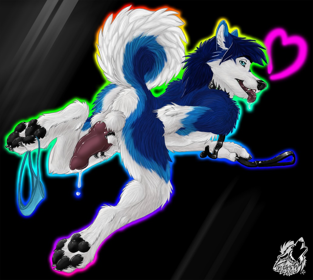 2010 all_fours animal_genitalia animal_penis anthro backsack balls bent_over big_balls big_penis biped black_background blue_body blue_eyes blue_fur blue_hair bodily_fluids butt canid canine canine_genitalia canine_penis canis clothing codestrike collar colorful_theme curled curled_tail domestic_dog dripping drooling e621 erection fluffy fur genital_fluids genitals gradient_background growing hair heart_symbol husky knot leash looking_at_viewer male mammal nordic_sled_dog nude pawpads paws penis penis_backwards precum presenting presenting_hindquarters rainbow raised_tail saliva simple_background solo spitz strike tail thong tongue tongue_out underwear white_body white_fur