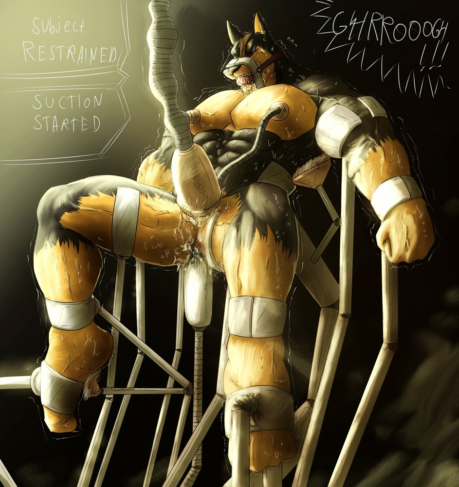 2014 4_toes 5_fingers abs anal anal_masturbation anal_penetration anthro anus ass_up athletic bad_end ball_gag balls barefoot bdsm biceps big_muscles biped black_body black_fur black_nose blush bodily_fluids bondage bound breath brown_body brown_fur butt canid canine canis clothed clothing cuff_(restraint) cum cum_inside cum_while_penetrated cumshot dildo dobby_(foster-tony) dobermann domestic_dog dominant dripping drooling dungeon e621 ejaculation enema english_text erection eyes_closed feet fingers foot_fetish forced forced_orgasm foster-tony frown fucking_machine fully_bound fur gag gagged genital_fluids genitals glistening grasp growling halter hands-free hands_tied harness harness_ball_gag harness_gag hook laugh leaking long_term lube machine male male_penetrated mammal manly markings masturbation messy milking_machine muscular muscular_anthro muscular_bottom muscular_male muscular_sub muzzle_(object) muzzle_gag muzzled nipple_fetish nipple_pinch nipple_play nipples nude orgasm panting pecs penetration penile penis penis_milking penis_pump pinch pinscher plantigrade precum presenting prisoner rape restrained restraints saliva self-bondage sex sex_toy shackles shadow sharp_teeth sitting solo sound_effects spread_legs spreading story story_in_description submissive submissive_male suction_cup suction_device suspension sweat tears teeth text tickle_torture tickling tickling_armpits tickling_feet tickling_machine toes topless toying_self tube vein wet