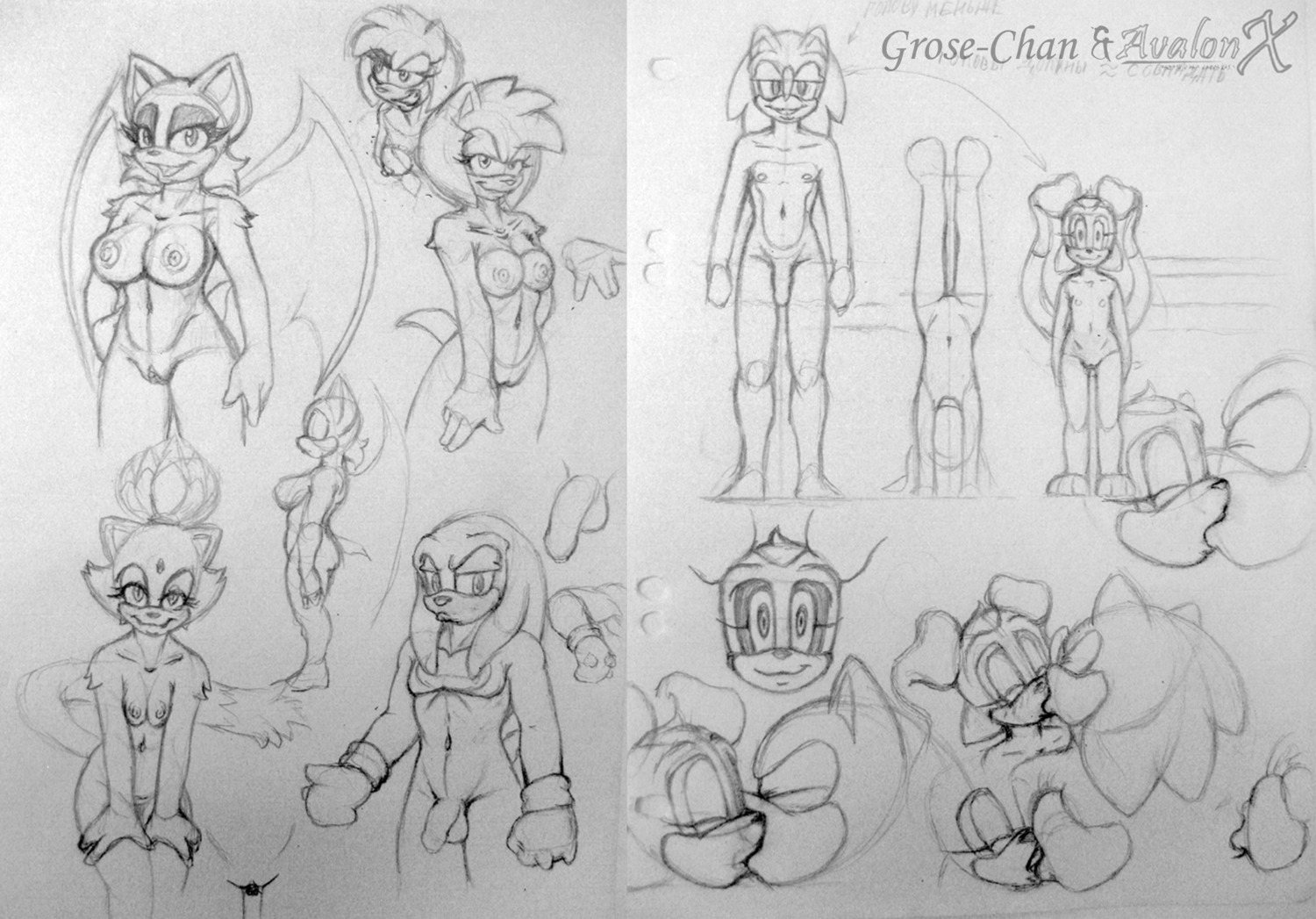 amy_rose anthro aval0nx bat blaze_the_cat cream_the_rabbit domestic_cat echidna feline female furry grose-chan hedgehog knuckles_the_echidna male mammal rabbit rouge_the_bat rule34 sega sonic_(series) sonic_the_hedgehog sonic_the_hedgehog_(series)
