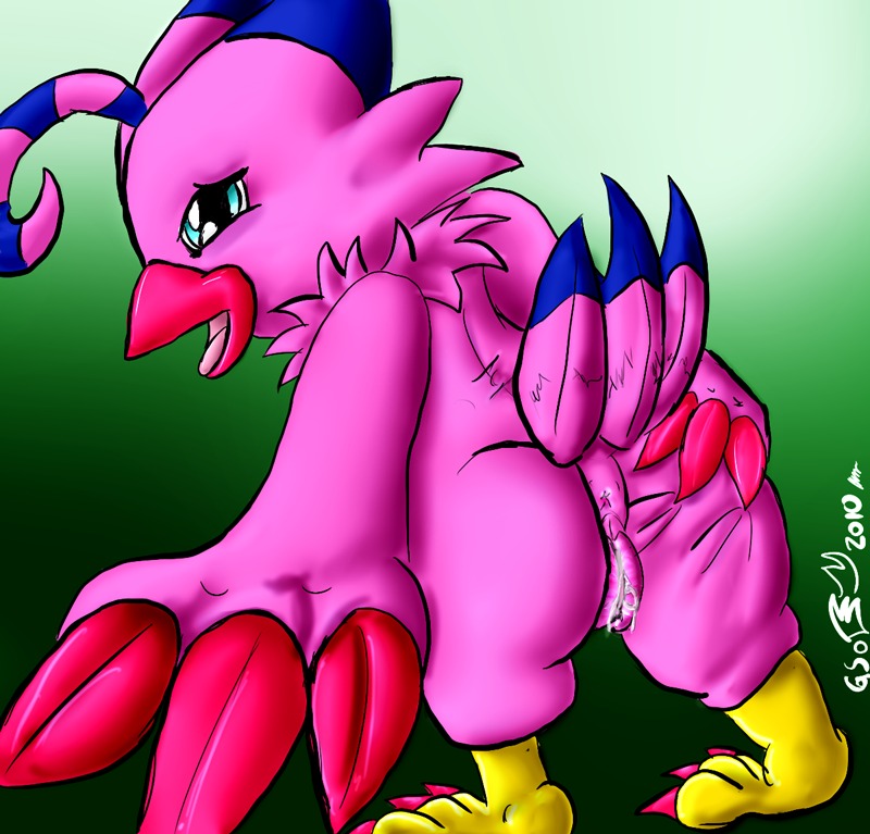 1animal avian bird biyomon digimon female presenting rule34 tagme