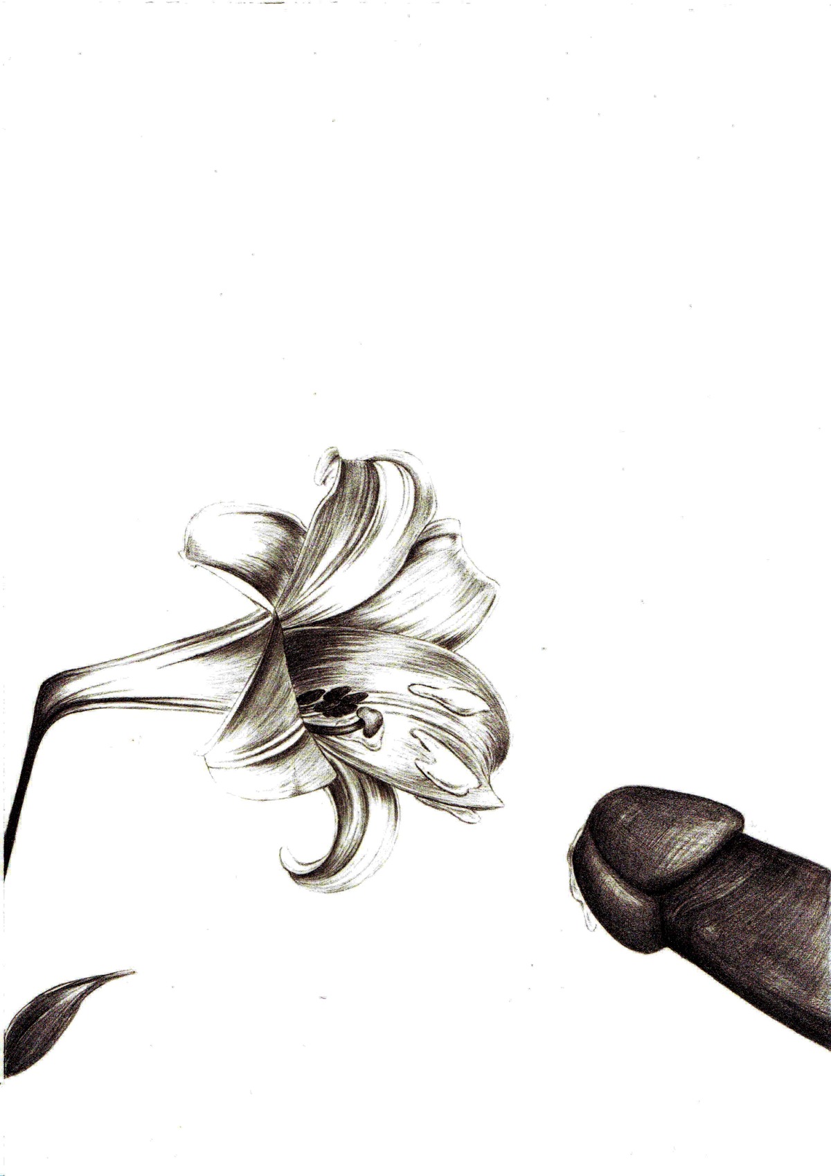 cum flower inanimate lily_(flower) male object_focus penis rule34 tagme
