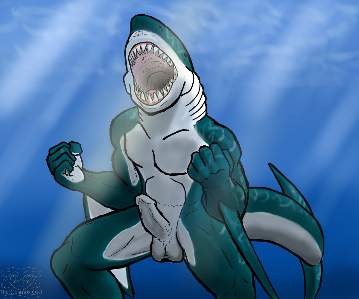 2012 6:5 abs anthro aquatic balls biceps e621 erection fangs fin fish genitals glass great_white_shark mackerel_shark male muscular muscular_anthro muscular_male non-mammal_balls nude open_mouth pecs penis pose shark solo teeth thecosmosowl water white_shark