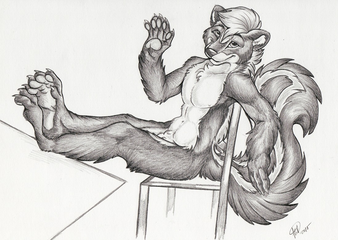 2010 animal_genitalia anthro chair e621 fully_sheathed furniture genitals kwik_(artist) male mammal mephitid monochrome nude sheath simple_background sketch skunk solo tail white_background wood wood_chair wood_furniture