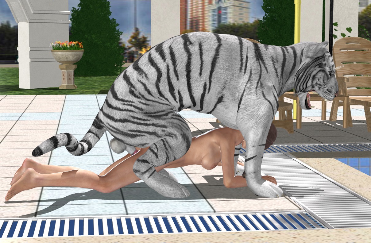 3d_(artwork) all_fours balls bestiality breasts digital_media_(artwork) digitigrade doggystyle duo e621 felid female female_on_feral feral from_behind_position genitals human human_on_feral interspecies male male/female male_on_human mammal nipples pantherine quadruped realistic_feral sex tail tiger unknown_artist
