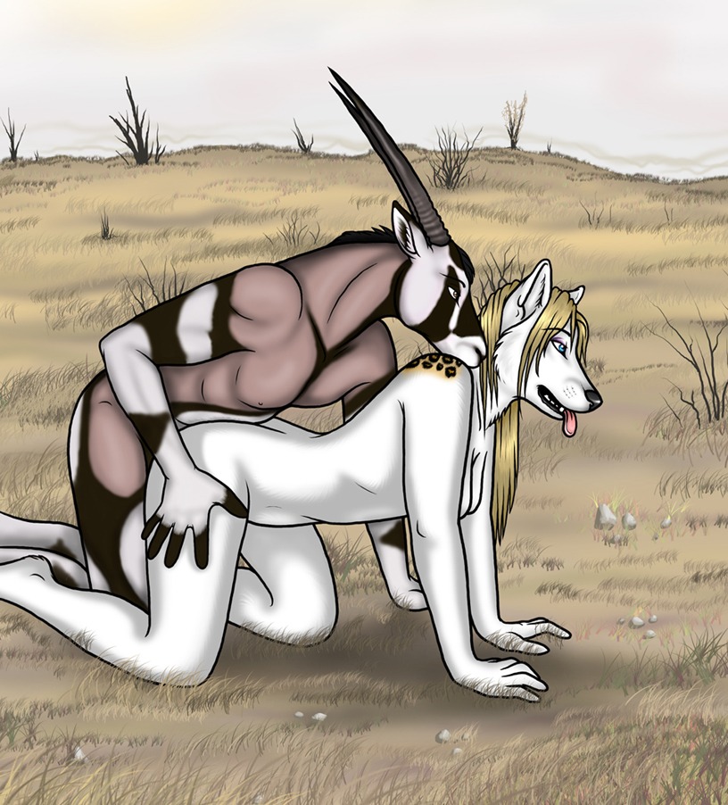 antelope anthro anthro_on_anthro bovid canid canine canis chiro_ookami duo e621 female from_behind_position gemsbok grazing_antelope horn interspecies male male/female mammal nude oryx outside sex sky wolf