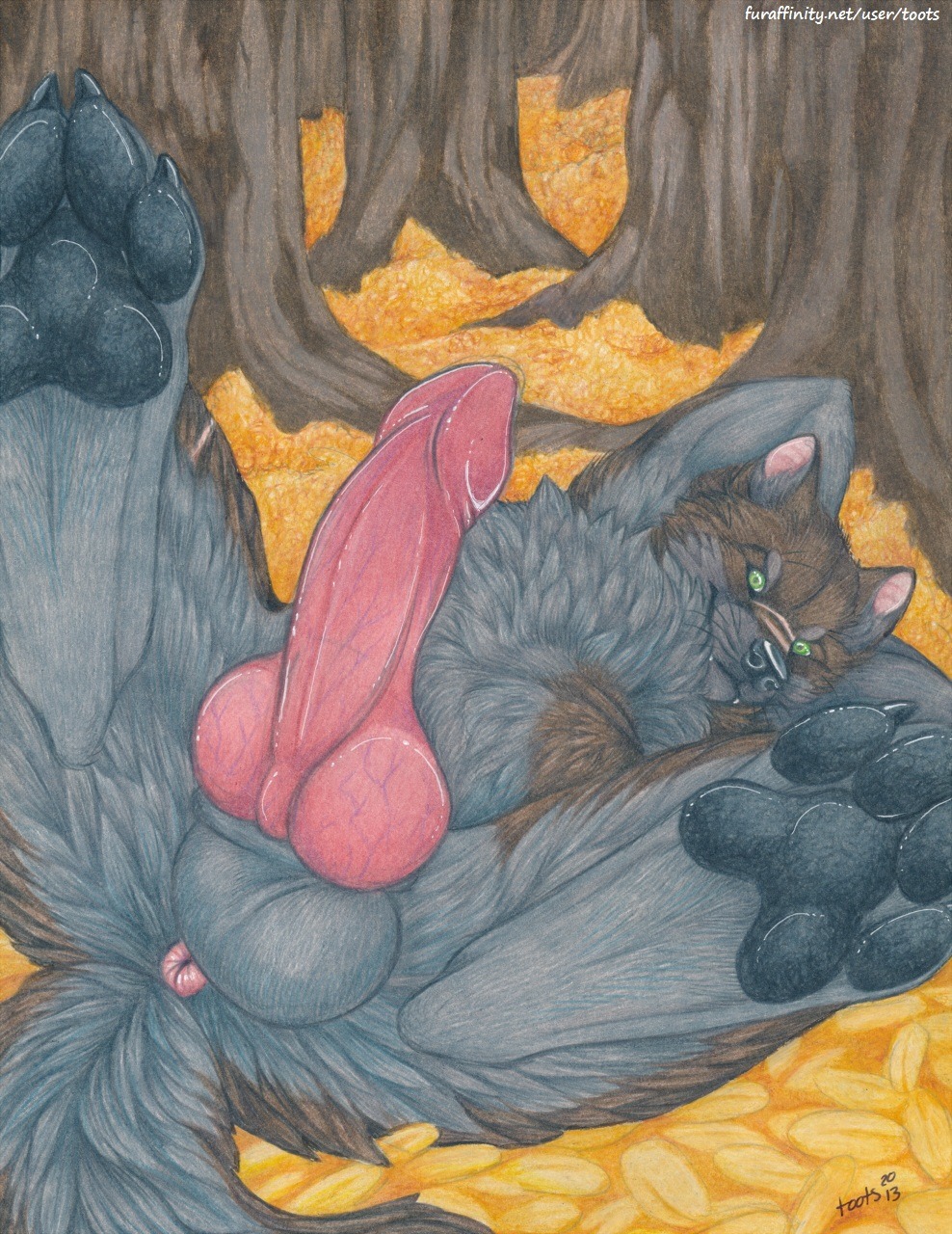 2013 4_toes animal_genitalia animal_penis anthro anus balls biped canid canine canine_genitalia canine_penis canis claws darkwingo detailed_background digitigrade e621 erection feet foot_focus forest fur genitals green_eyes grey_body grey_fur hi_res hindpaw knot looking_at_viewer lying male mammal nude on_back outside pawpads paws penis plant scar soles solo spread_legs spreading text toes toots tree url wolf