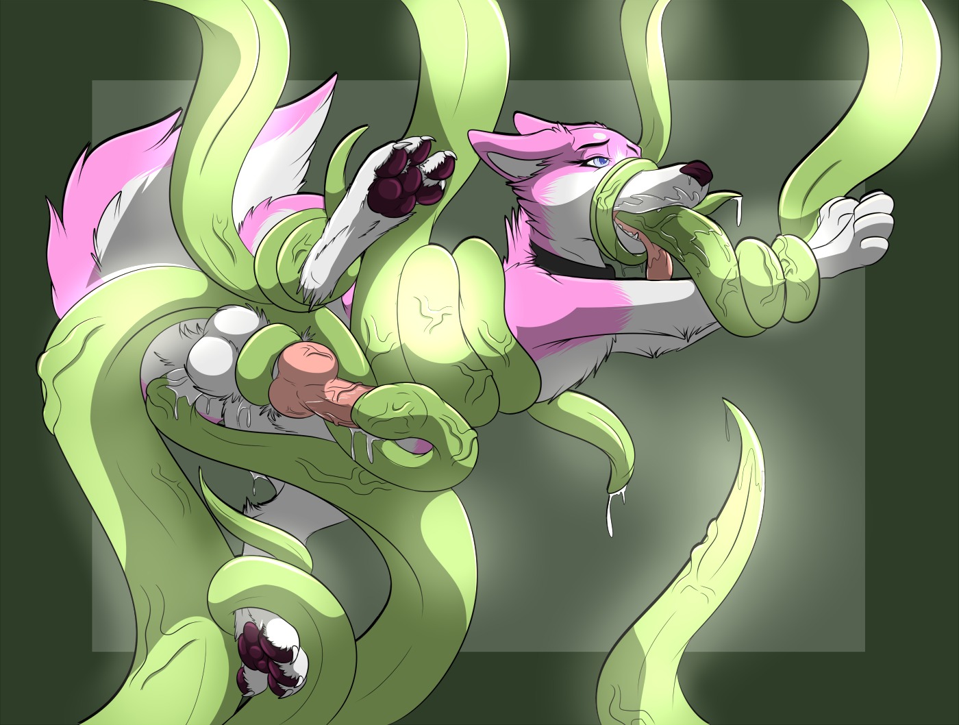 2014 4_toes anal anal_penetration anatomically_correct animal_genitalia balls blue_eyes bodily_fluids canid canine canis claws coiling conditional_dnp cum cum_in_ass cum_inside cum_on_face digitigrade domestic_dog e621 erection feet feral fur genital_fluids genitals glowing hindpaw husky kiba_kurokage knot male maleherm_(lore) mammal nordic_sled_dog open_mouth oral oral_penetration orgasm pawpads paws penetration penis penis_in_tentacle pink_body pink_fur psy101 restrained sex solo spitz teeth tentacle_fellatio tentacle_in_mouth tentacle_penetration tentacle_sex tentacles toes tongue tongue_out urethral urethral_penetration wet