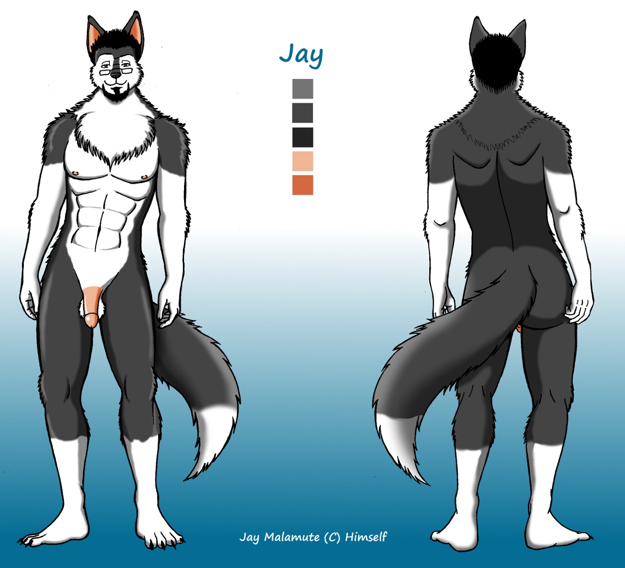alaskan_malamute anthro balls butt canid canine canis circumcised color_swatch dipstick_tail domestic_dog e621 eyewear flaccid genitals glasses humanoid_genitalia humanoid_penis jay_(jay_malamute) jay_malamute leg_markings looking_at_viewer male mammal markings model_sheet multiple_angles nordic_sled_dog nude penis simple_background socks_(marking) solo spitz tail tail_markings
