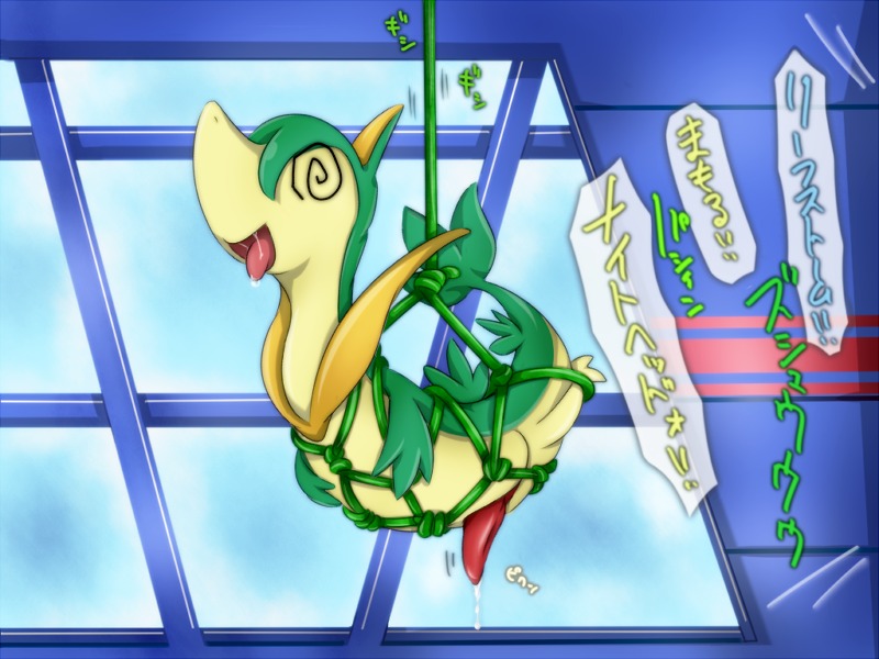bondage bound color cum feral green_skin japanese_text male male_only nino_mizusawa nude penis pokemon pokemon_(species) rule34 saliva servine side_view solo suspension tagme text