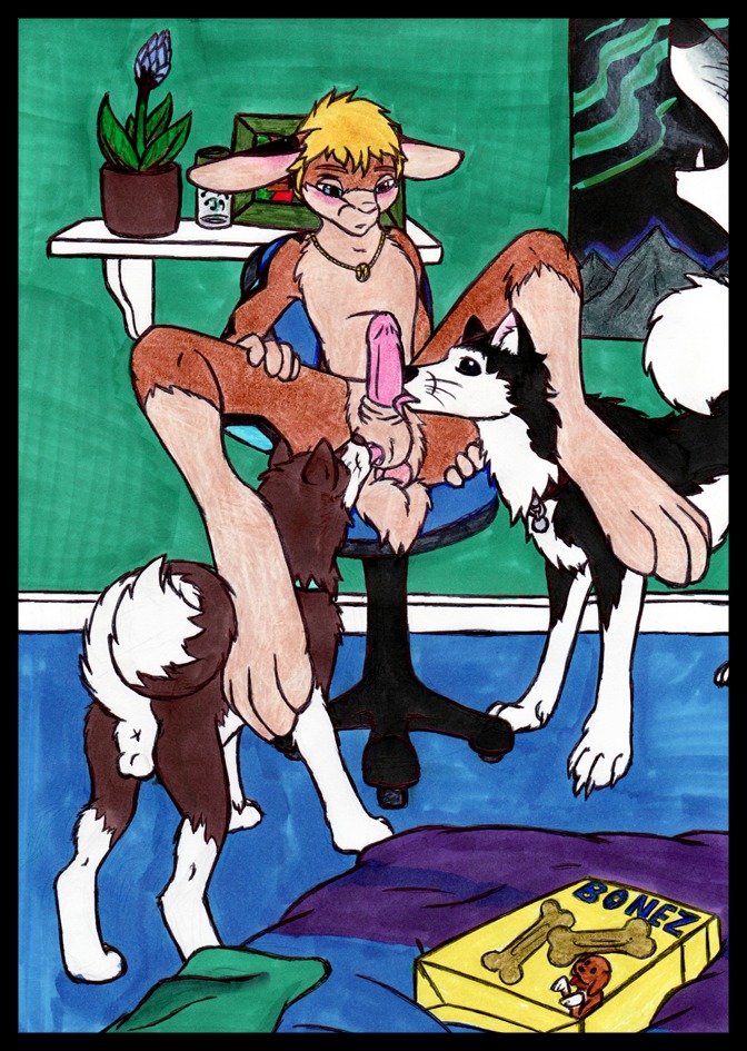 anthro anthro_on_feral bedroom bestiality black_border border buttplug canid canine canis digitigrade domestic_dog drakainadawn e621 erection feral genitals gloves_(marking) group group_sex humanoid_genitalia humanoid_penis inside interspecies lagomorph leg_markings leporid male male/male mammal markings penis plug_(sex_toy) quadruped rabbit sex sex_toy socks_(marking) tail threesome trio
