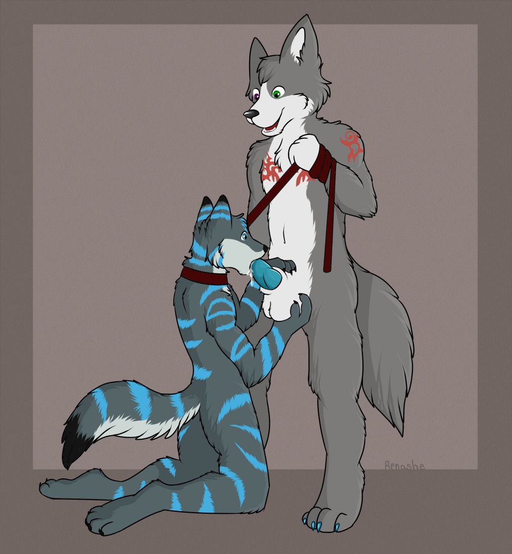 anthro ball_fondling balls black_body black_fur black_nose blue_body blue_eyes blue_fur claws collar countershading dipstick_tail dominant dominant_male duo e621 erection fellatio fondling fur genitals green_eyes grey_body grey_fur heterochromia kneeling knot leash male male/male male_penetrated male_penetrating male_penetrating_male markings multicolored_tail open_mouth oral oral_penetration penetration penile penis purple_eyes renashe sex simple_background stripes submissive submissive_male tail tail_markings tattoo teal_penis teeth white_body white_fur