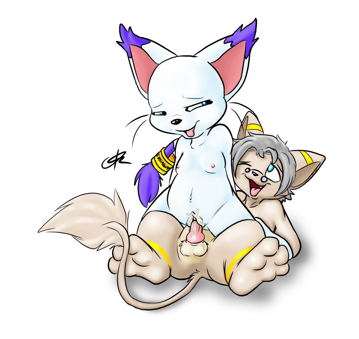 1boy 1girls animal_genitalia animal_penis anthro balls ballsack color digimon erection female furry furry_balls gatomon interspecies male monster_boy penis penis_in_vagina pussy rule34 scrotum sex straight tail tail_tuft testicles toony vaginal_penetration veiny_penis vulva white_fur