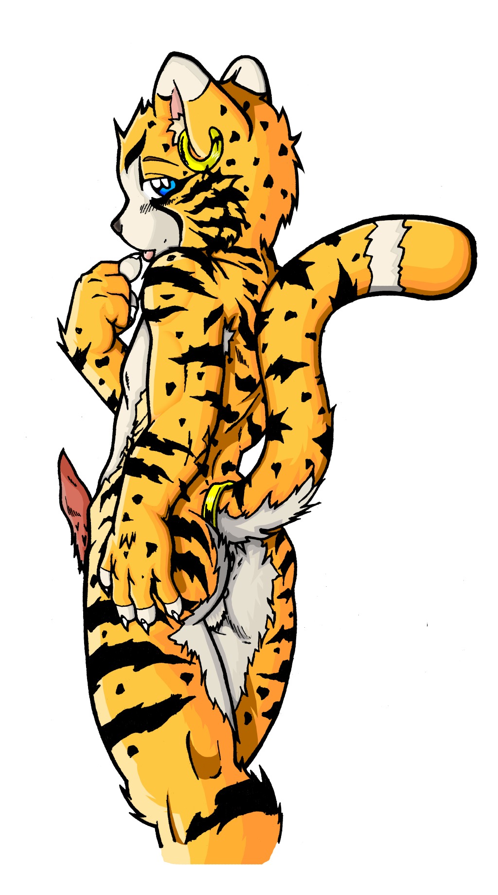 accessory animal_genitalia animal_penis anthro anus backsack balls biped blue_eyes cheetah chiar claws dktorzi e621 ear_piercing erection felid feline feline_genitalia feline_penis fur furgonomics genitals hi_res hybrid jewelry looking_at_viewer looking_back looking_back_at_viewer male mammal markings nude oasis_red pantherine penile_spines penis piercing raised_tail ring solo spots spotted_body spotted_fur standing striped_body striped_fur stripes tail tail_accessory tail_jewelry tail_ring tiger tongue yellow_body yellow_fur