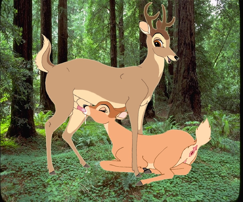 balls bambi_(character) bambi_(film) deer disney faline female feral male penis pussy rule34 tagme testicles theother