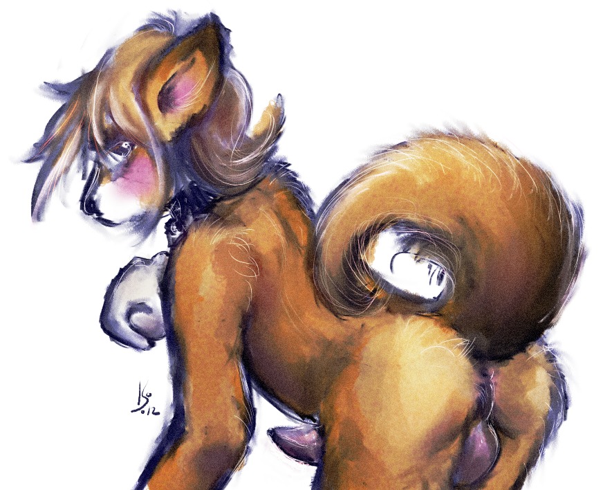 2012 5:4 anthro backsack balls canid canine canis collar dlost domestic_dog e621 erection genitals looking_at_viewer looking_back male mammal nude penis raised_tail signature simple_background solo tail white_background