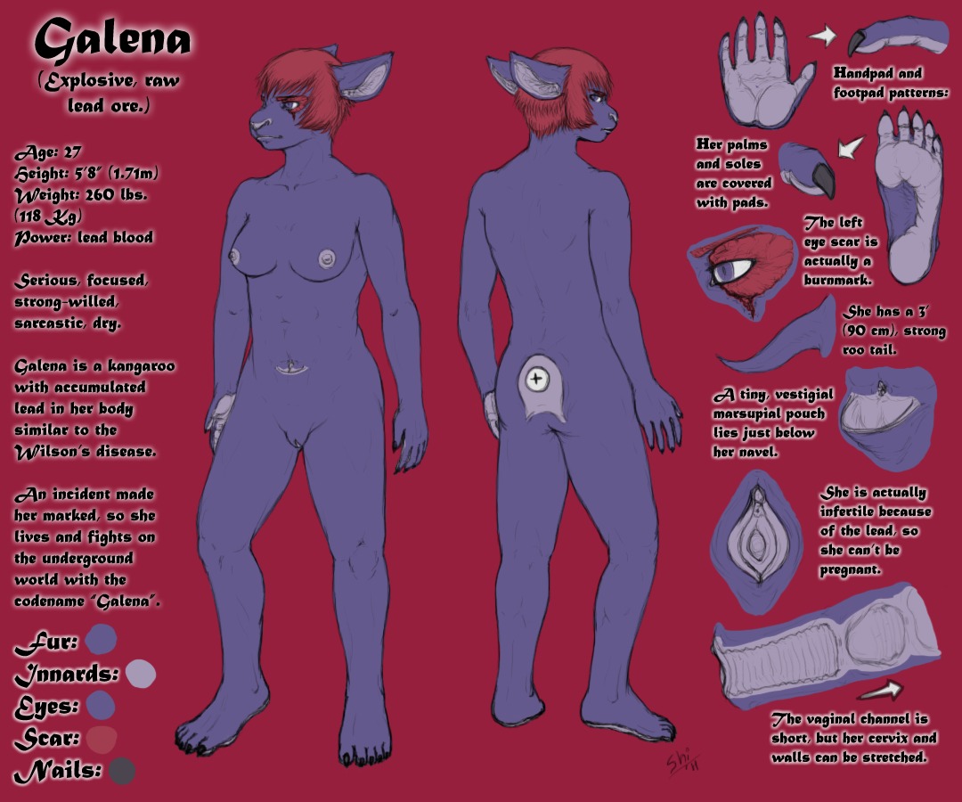 5_fingers 5_toes 6:5 anthro breasts clitoris description e621 english_text feet female fingers galena genitals hair hindpaw humanoid_feet humanoid_hands info internal kangaroo lips macropod mammal marsupial model_sheet muscular muscular_anthro muscular_female nails navel nipples nude pawpads paws plantigrade pouch_(anatomy) red_hair scar simple_background solo text toes urethra vulva yellowpower
