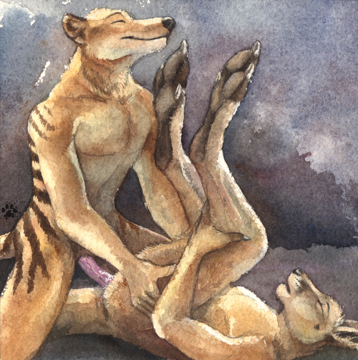2012 abstract_background anal anal_penetration anthro blotch brown_body brown_fur claws dasyuromorph duo e621 erection eyes_closed feet fur genitals hand_on_leg hi_res hindpaw interspecies kangaroo legs_up lying macropod male male/male male_penetrated male_penetrating male_penetrating_male mammal marsupial nude on_back open_mouth pawpads paws penetration penis recently_extinct_species scratches_volume_6 sex simple_background tan_body tan_fur thylacine toe_claws traditional_media_(artwork)