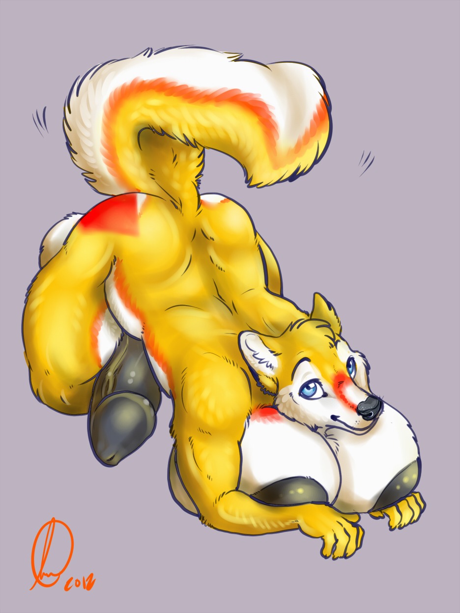 2012 3:4 all_fours anthro ass_up balls big_breasts big_penis big_tail black_penis blue_eyes breasts canid canine canis domestic_dog e621 erection fur genitals gravewalker gynomorph hi_res huge_breasts huge_penis husky husqi hyper hyper_genitalia hyper_penis intersex looking_at_viewer mammal muscular muscular_anthro muscular_gynomorph muscular_intersex nipples nordic_sled_dog nude penis simple_background smile solo spitz tail thick_thighs wide_hips yellow_body yellow_fur