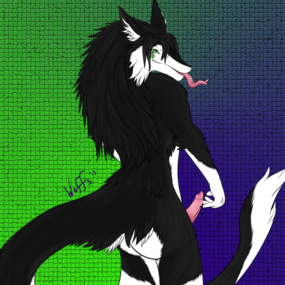 1:1 butt e621 english_text erection genitals hi_res looking_back male mammal nude penis sergal solo tail text tongue tongue_out wuffs wuffypie zoki