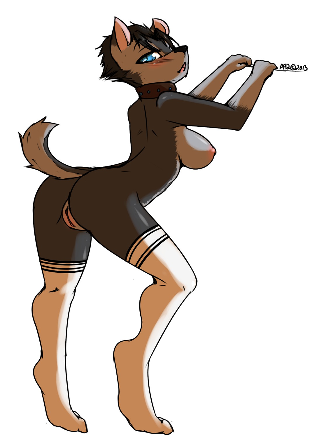 anthro avante92 breasts butt canid canine canis clothing domestic_dog e621 female genitals hi_res legwear looking_at_viewer mammal nipples nude pose presenting presenting_hindquarters solo stockings vulva