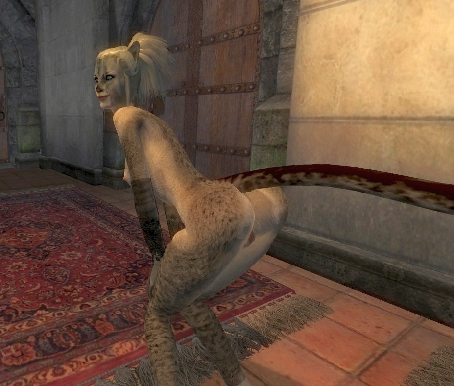1girls 3d anthro anthro_female anthro_only artist_request female female_only game_screenshot garry's_mod khajiit oblivion rule34 solo tail the_elder_scrolls