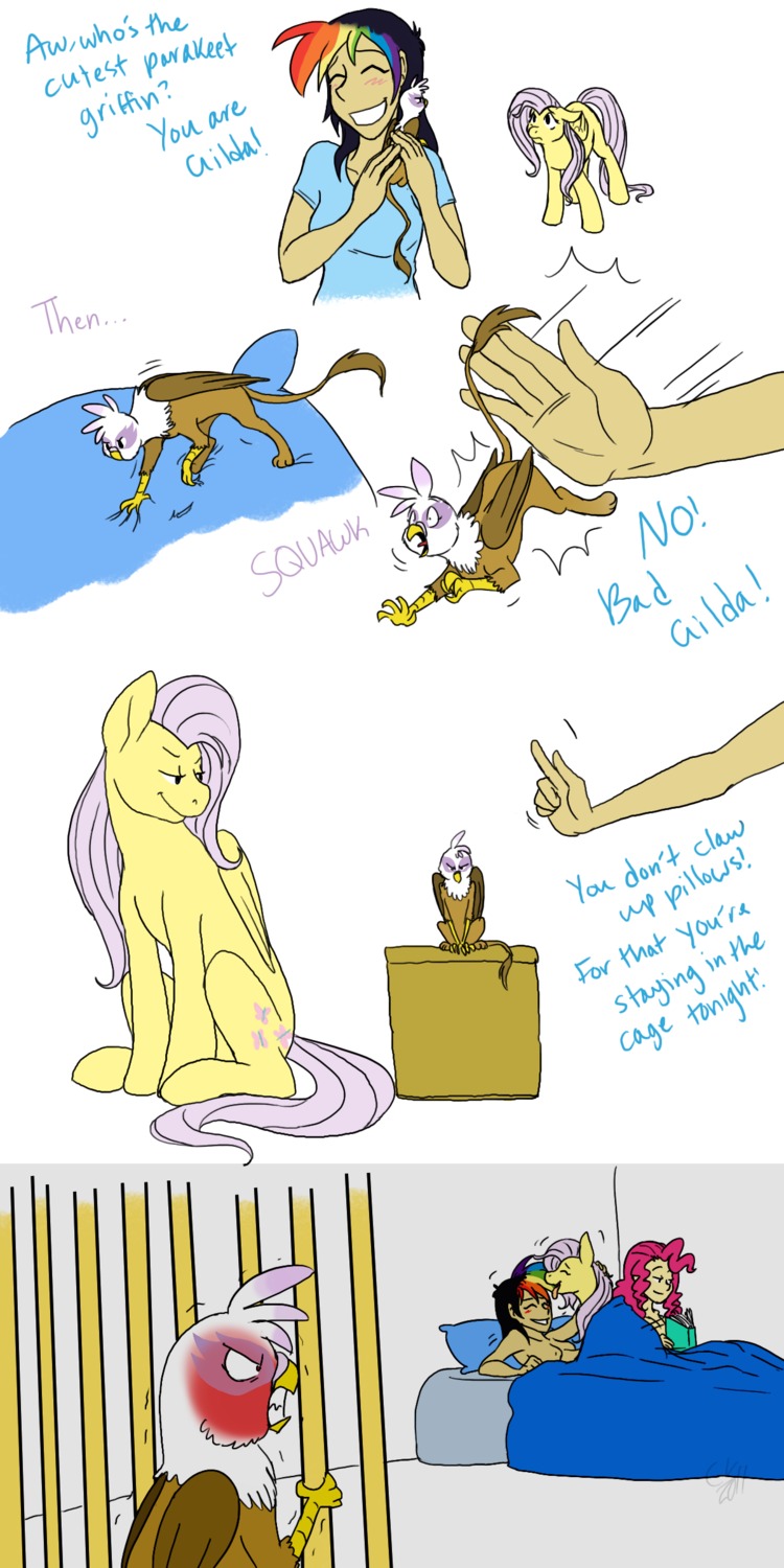 angry avian bed cartoonlion equine female feral fluttershy_(mlp) friendship_is_magic gilda gilda_(mlp) gryphon horse human humanized interspecies mammal micro my_little_pony mythological_avian mythological_creature mythological_equine mythology pegasus pinkie_pie_(eg) pinkie_pie_(mlp) pony rainbow_dash_(eg) rainbow_dash_(mlp) rule34 sitting smooth_skin tail wings