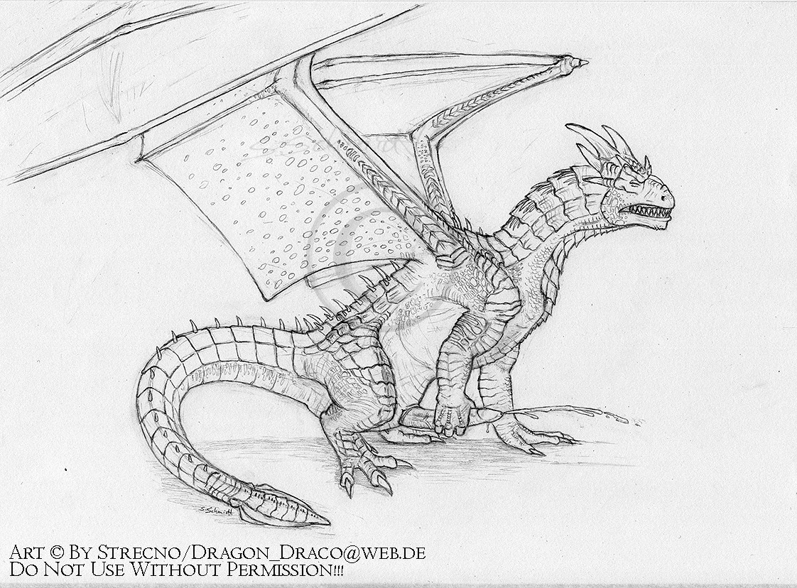 1boy black_and_white cum draco dragon dragonheart feral male male_only masturbation monochrome penis rule34 scalie solo strecno wings