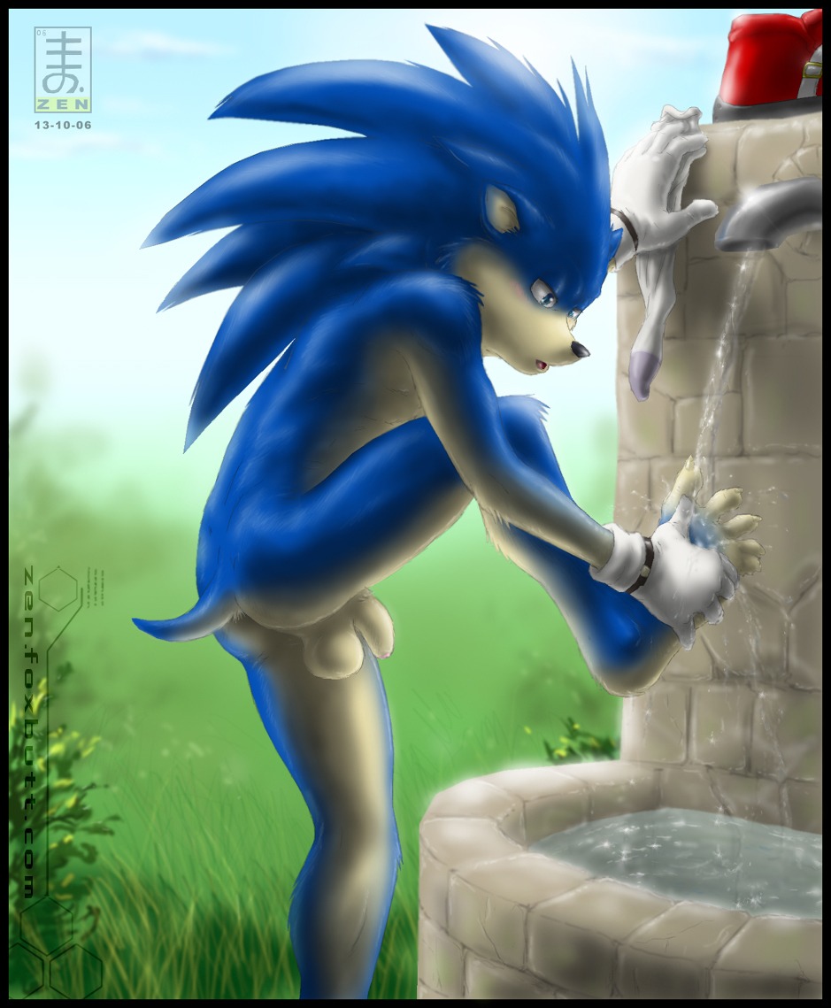 2006 anthro ass balls barefoot blue_fur casual day flaccid fur furry grass hedgehog humanoid male male_only mammal nonsexual nonsexual_nudity on_one_foot outdoors penis rule34 sega side_view sky solo sonic_(series) sonic_the_hedgehog sonic_the_hedgehog_(series) standing straight_hair tail washing water zen