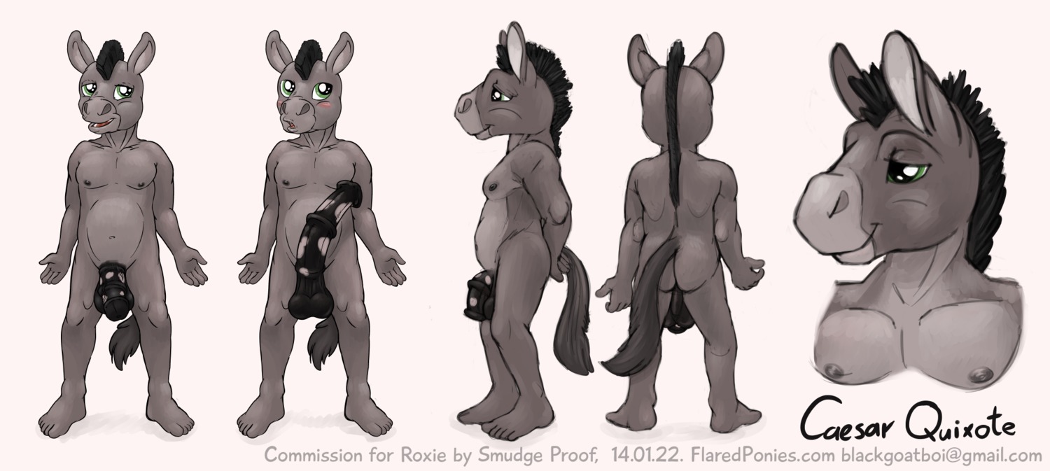 animal_genitalia animal_penis anthro anus asinus balls big_penis black_penis blush caesar_quixote digital_media_(artwork) donkey e621 equid equine equine_genitalia equine_penis erection flaccid genitals green_eyes half-erect hi_res looking_away male mammal model_sheet mohawk open_mouth penis side_view slightly_chubby smile smudge_proof solo text turnaround url