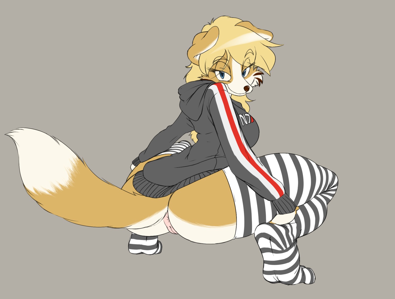 2013 anthro anus argento big_butt bioware biped blonde_hair blue_eyes bottomless brown_body brown_fur brown_nose butt canid canine canis clothed clothing crouching curvy_figure dipstick_tail domestic_dog e621 electronic_arts female footwear fur genitals grey_background hair hi_res hoodie legwear long_hair looking_at_viewer mammal markings mass_effect pattern_clothing pattern_footwear pattern_legwear rear_view sambers_(character) simple_background smile solo stockings striped_clothing striped_footwear striped_legwear stripes tail tail_markings thick_thighs topwear voluptuous vulva white_body white_fur