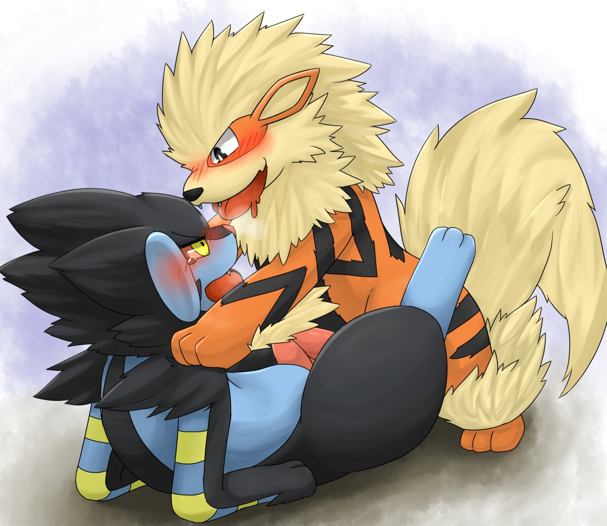 3_toes arcanine black_body black_eyes black_fur black_nose blue_body blue_fur blush bodily_fluids canid canine duo e621 erection eye_contact feet felid feral frottage fur generation_1_pokemon generation_4_pokemon genitals legs_up looking_at_another luxray lying male male/male male_on_bottom male_on_top mammal manoreo nintendo on_back on_bottom on_top open_mouth orange_body orange_fur penile penis penises_touching pink_nose pink_penis pokemon pokemon_(species) raised_leg sex tears teeth toes tongue tongue_out yellow_body yellow_eyes yellow_fur