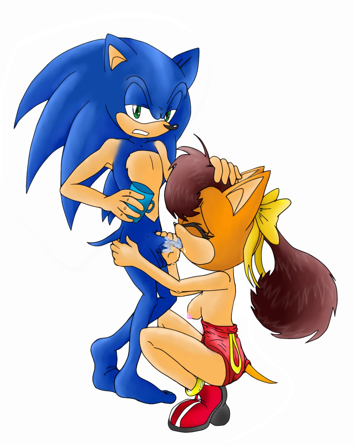 anthro blue_fur color cup fellatio female fur furry hedgehog holding male oral orange_fur raianonzika rule34 sega side_view sonic_(series) sonic_the_hedgehog sonic_the_hedgehog_(series) sonic_x-treme straight tiara_boobowski