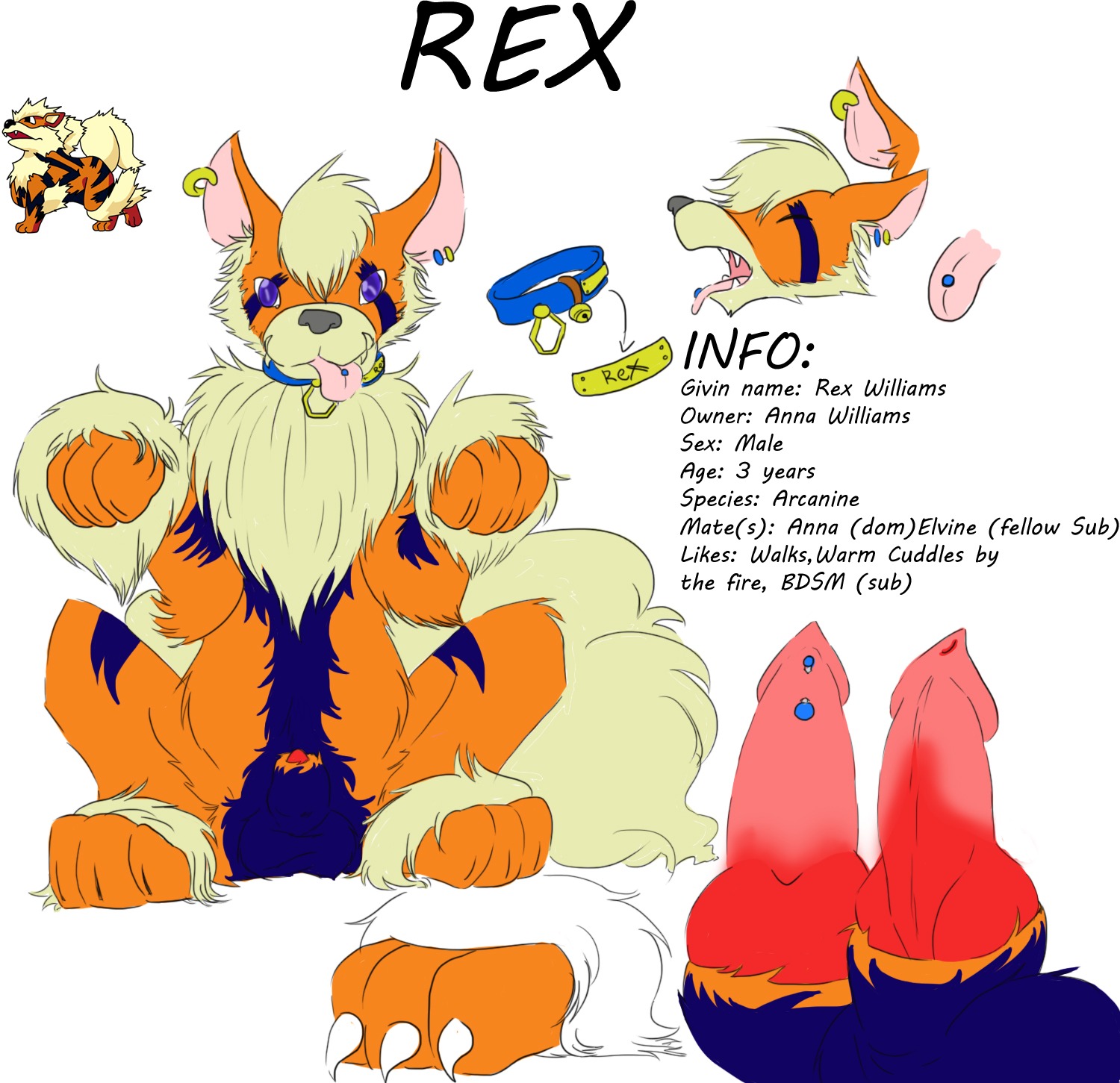 animal_genitalia arcanine bdsm bell canid canine collar e621 english_text erection feral fluffy generation_1_pokemon genitals hi_res kelso-crazy knot male mammal model_sheet nintendo penis penis_tip petplay piercing pokemon pokemon_(species) quadruped roleplay sheath simple_background solo tail text white_background young_(lore)