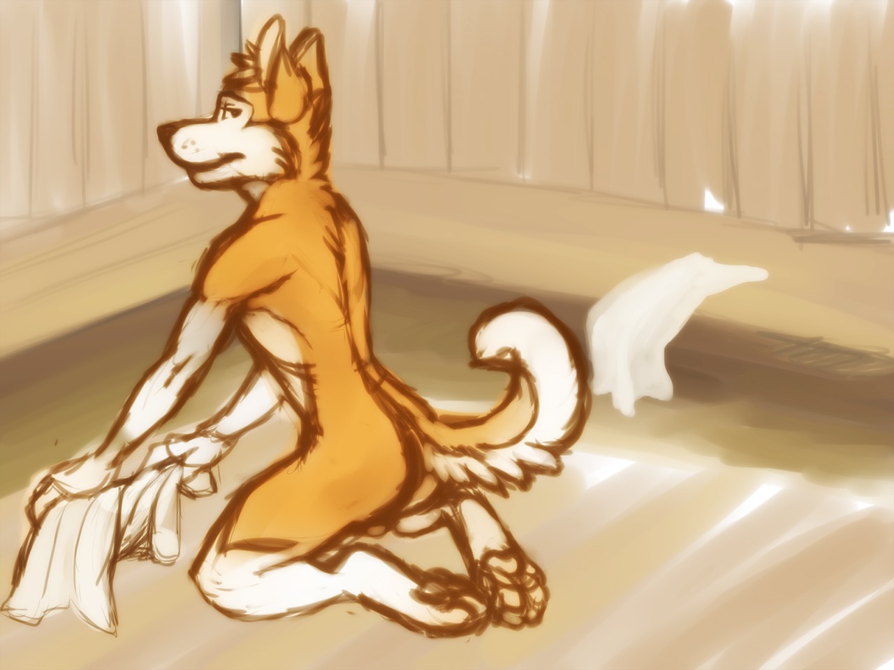 4:3 anthro backsack balls butt canid canine canis domestic_dog e621 fur genitals husky klaude male mammal nordic_sled_dog nude orange_body orange_fur paws sauna solo spitz tail towel