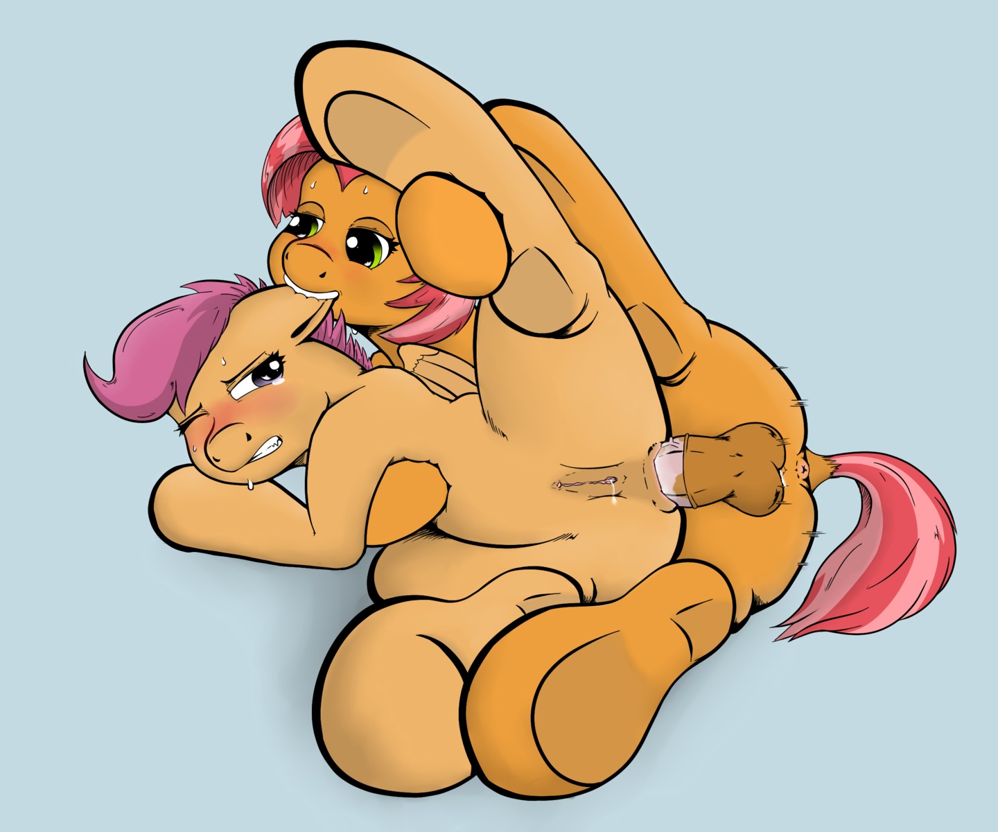 6:5 anal anal_penetration anus babs_seed_(mlp) balls bite blue_background blush bodily_fluids brown_body brown_fur dashaloo duo e621 ear_bite earth_pony equid equine erection feathered_wings feathers female female_penetrated feral friendship_is_magic fur genitals green_eyes gynomorph gynomorph/female gynomorph_penetrating gynomorph_penetrating_female hair hasbro hi_res horse intersex intersex/female intersex_penetrating intersex_penetrating_female lying mammal multicolored_hair my_little_pony mythological_creature mythological_equine mythology nude on_side orange_body orange_feathers orange_fur pegasus penetration penis pony purple_hair scootaloo_(mlp) sex simple_background sweat two_tone_hair vulva wings young young_feral
