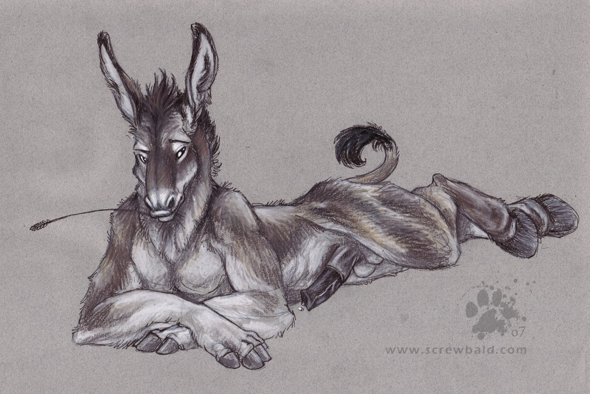 2007 animal_genitalia animal_penis anthro asinus balls biped black_penis blotch colored_pencil_(artwork) crossed_arms donkey e621 equid equine equine_genitalia equine_penis erection fingers genitals hay_in_mouth hooved_fingers hooves looking_at_viewer lying male mammal nude penis raised_tail scratches_volume_1 simple_background solo tail textured_background traditional_media_(artwork)