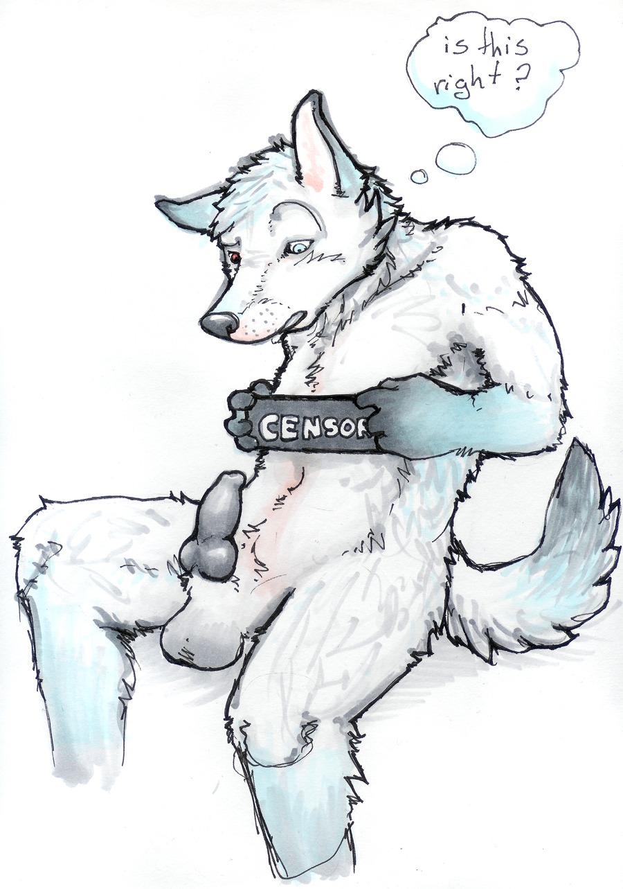animal_genitalia animal_penis anthro balls black_nose black_penis blue_eyes canid canine canine_genitalia canine_penis canis censor_bar coyote doing_it_wrong e621 english_text erection fur genitals heterochromia hi_res humor knot male mammal marker_(artwork) nitrogen nude penis physical_censor_bar red_eyes simple_background solo tail text traditional_media_(artwork) white_background white_body white_fur