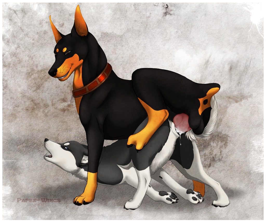 anatomically_correct anatomically_correct_genitalia anatomically_correct_vulva animal_genitalia animal_vulva anus balls bodily_fluids canid canine canine_genitalia canine_vulva canis cum cum_in_vagina cum_inside dobermann docked_tail domestic_dog duo e621 erection female female_penetrated feral feral_on_feral feral_penetrated feral_penetrating feral_penetrating_feral genital_fluids genitals half-closed_eyes klaus_doberman_(character) knot male male/female male_penetrating male_penetrating_female mammal narrowed_eyes nude paper-wings penetration penile penile_penetration penis penis_in_vagina pinscher sex short_tail simple_background tail vaginal vaginal_penetration vulva