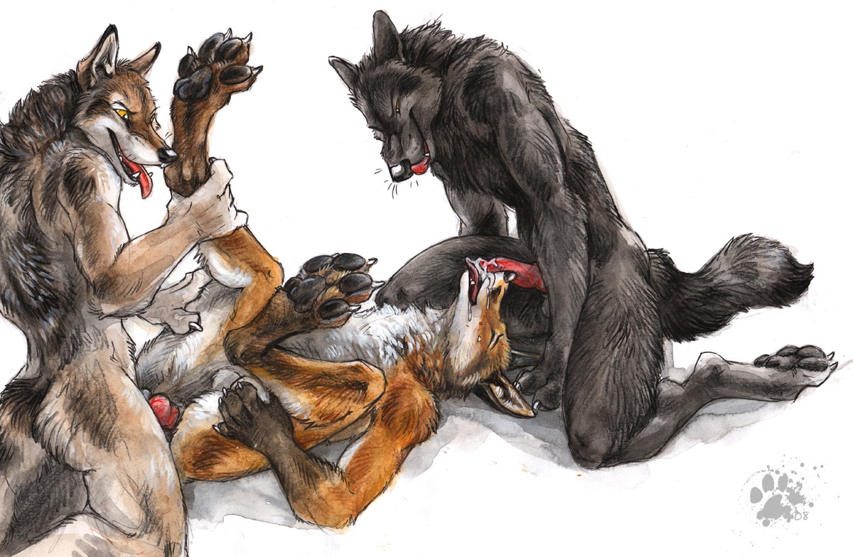 2008 anal anal_penetration animal_genitalia animal_penis anthro anthro_on_anthro balls blotch bodily_fluids canid canine canine_genitalia canine_penis canis cum cum_in_mouth cum_inside e621 erection feet fellatio fox genital_fluids genitals group group_sex hindpaw knot licking male male/male male_penetrated male_penetrating male_penetrating_male mammal oral pawpads paws penetration penile penis penis_lick red_fox scratches_volume_2 sex spitroast tail threesome tongue tongue_out traditional_media_(artwork) trio true_fox wolf