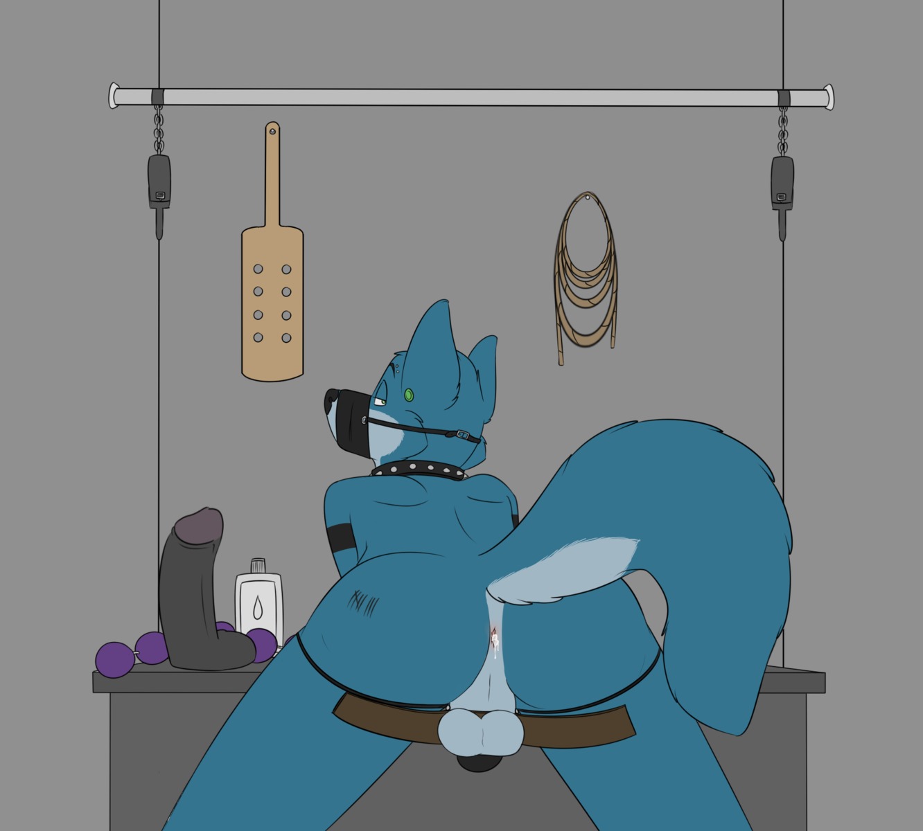 after_sex anal_beads anthro anus backsack balls bdsm bent_over black_nose blue_body blue_fur blue_tail bodily_fluids body_writing bondage bondage_gear bound butt canid canine canis cheek_tuft collar countershading cum cum_in_ass cum_inside desk digital_media_(artwork) dildo e621 ear_piercing eyebrows facial_tuft flat_colors fur furniture genital_fluids genitals green_eyes half-closed_eyes hi_res humbler inside leaking_cum looking_at_viewer looking_back lube male mammal multicolored_body multicolored_fur muzzle_(object) muzzled narrowed_eyes nude paddle piercing raised_tail rear_view restraints robbie_(rotten_robbie) rope rotten_robbie sex_toy sex_toy_background solo spiked_collar spikes submissive submissive_male table tail tally_marks tuft two_tone_body two_tone_fur western_tally_marks wolf writing_on_butt