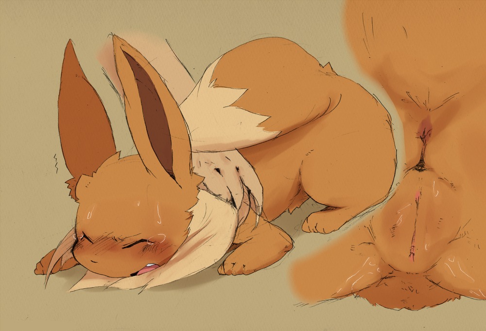 anus blush bodily_fluids brown_body brown_fur canid canine dagasi digital_media_(artwork) dipstick_tail e621 eevee eyes_closed female feral fluffy fur generation_1_pokemon genitals humanoid_hands mammal markings nintendo pokemon pokemon_(species) simple_background solo sweat tail tail_markings tears vulva wet